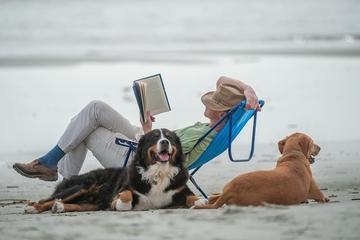 With dog-friendly beaches, there’s a lot to love about Jekyll Island as a seasonal getaway. Jekyll Island in Georgia’s Golden Isles is a dog-friendly snowbird destination.
