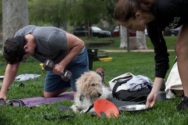 Get Fit With Fido: Shape Up With These 7 Pet-Friendly Activities