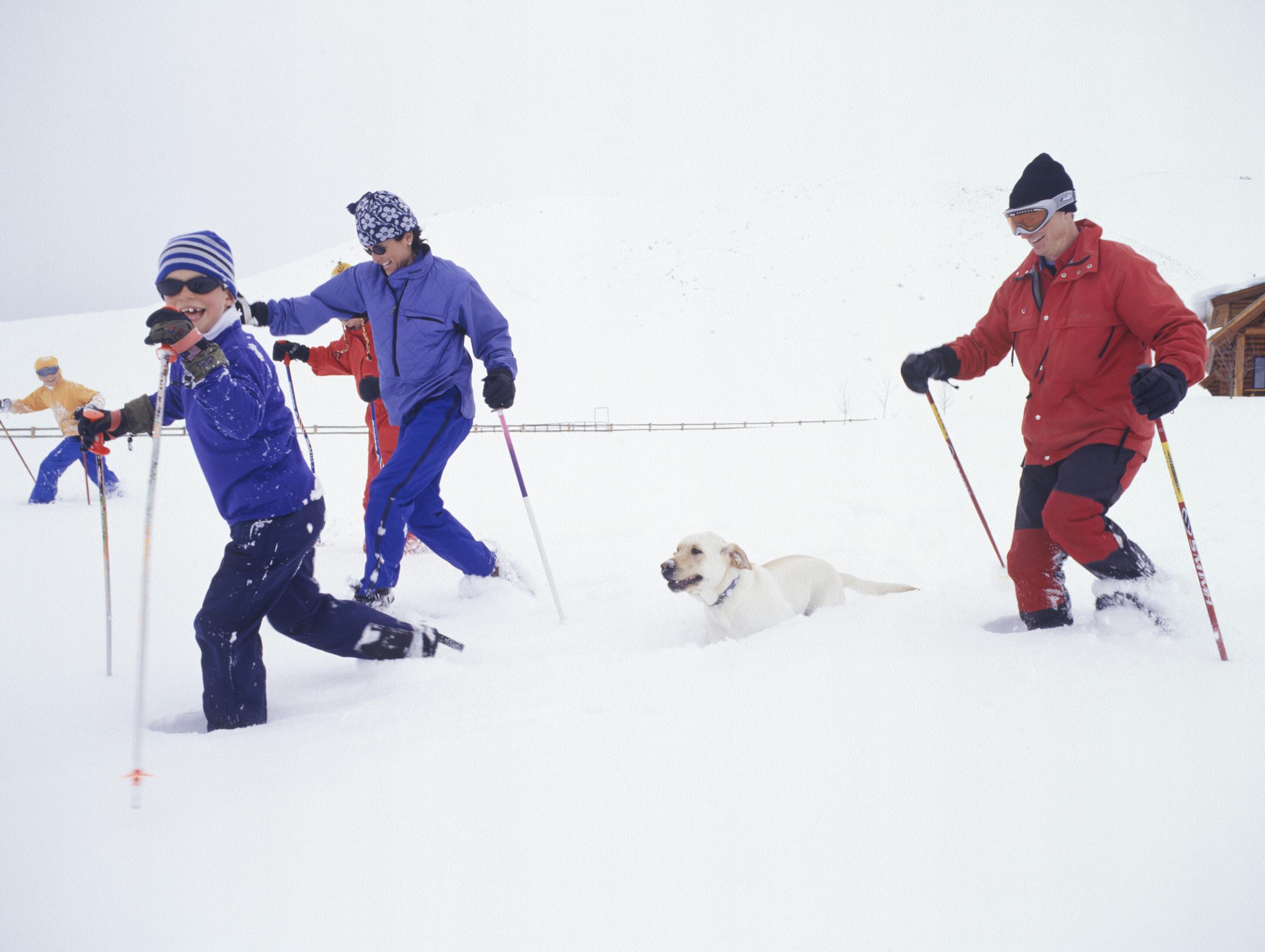 Ski Resorts That Welcome Dogs in Winter