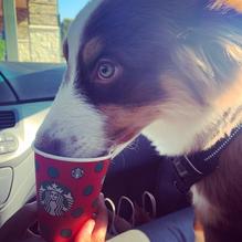 Starbucks restaurant view 1