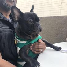 IHOP restaurant view 1