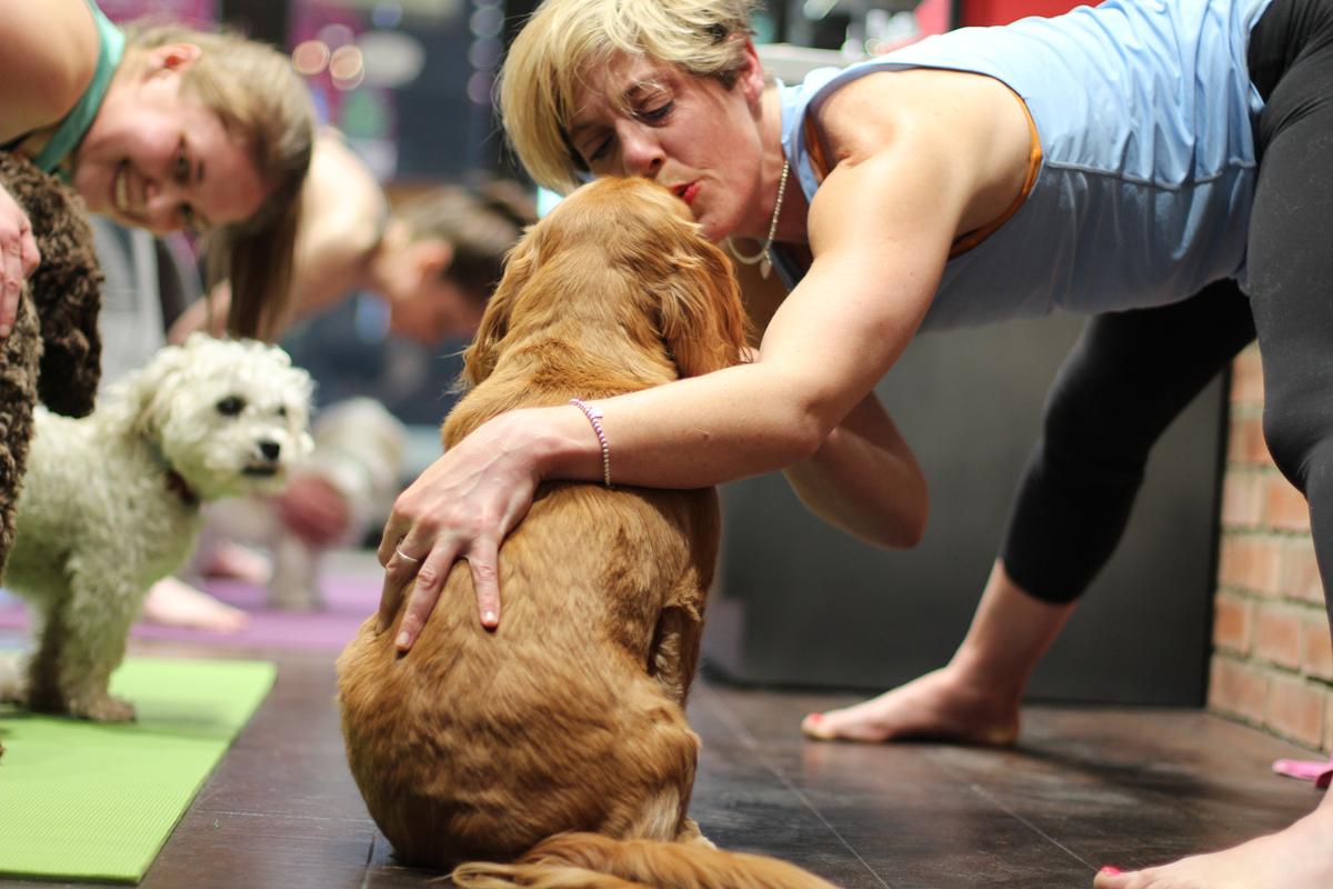 How to Keep Dogs Happy Inside — Indoor Exercise Ideas for Dogs