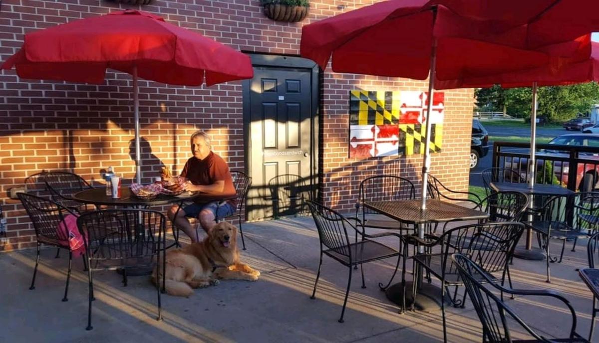 Vagabond Sandwich Company restaurant view 6