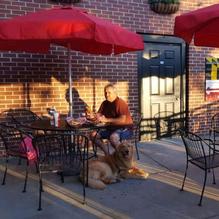 Vagabond Sandwich Company restaurant view 6