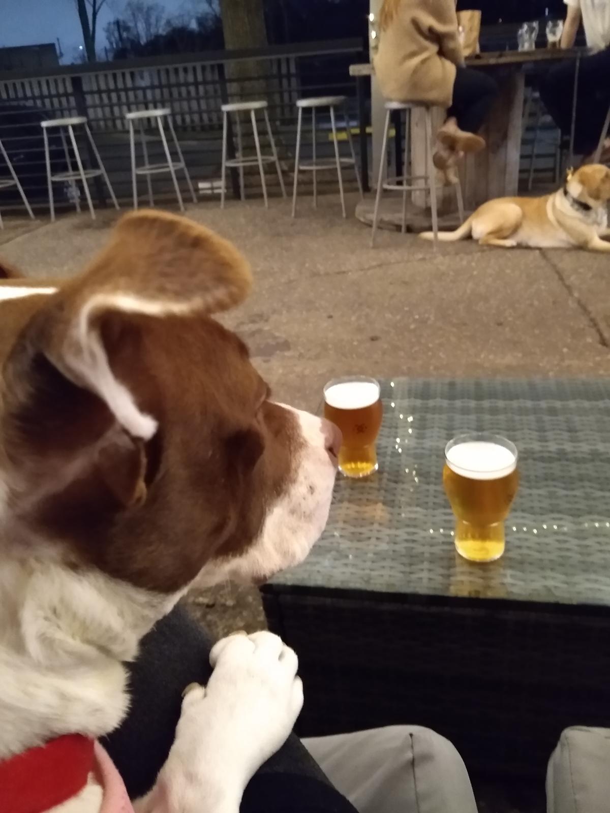 Cahaba Brewing Co restaurant view 2