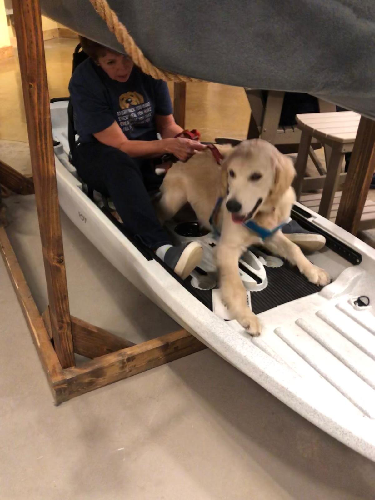 Bass pro allow dogs top