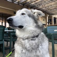 Arena's Deli restaurant view 4