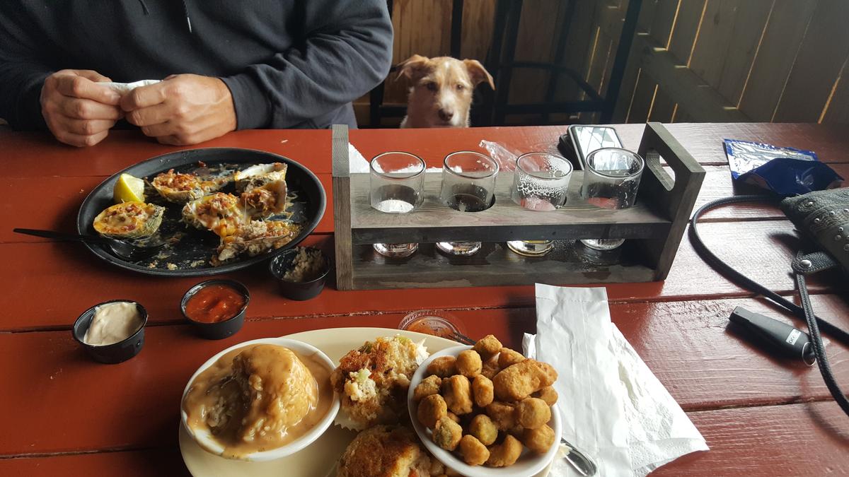 Red Pirate Family Grill & Oyster Bar restaurant view 3