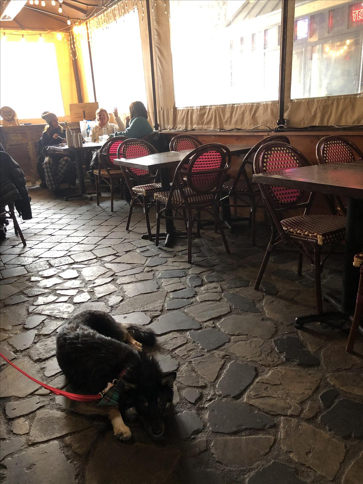 Side Door Cafe restaurant view 1