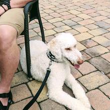 Buddy Brew Coffee - Sarasota restaurant view 1