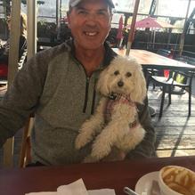 HopMonk Tavern restaurant view 2