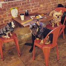 Château le Woof restaurant view 2