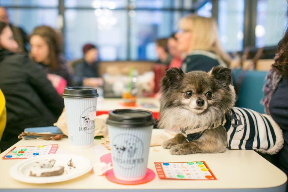 Dog-Friendly Indoor Dining Spots