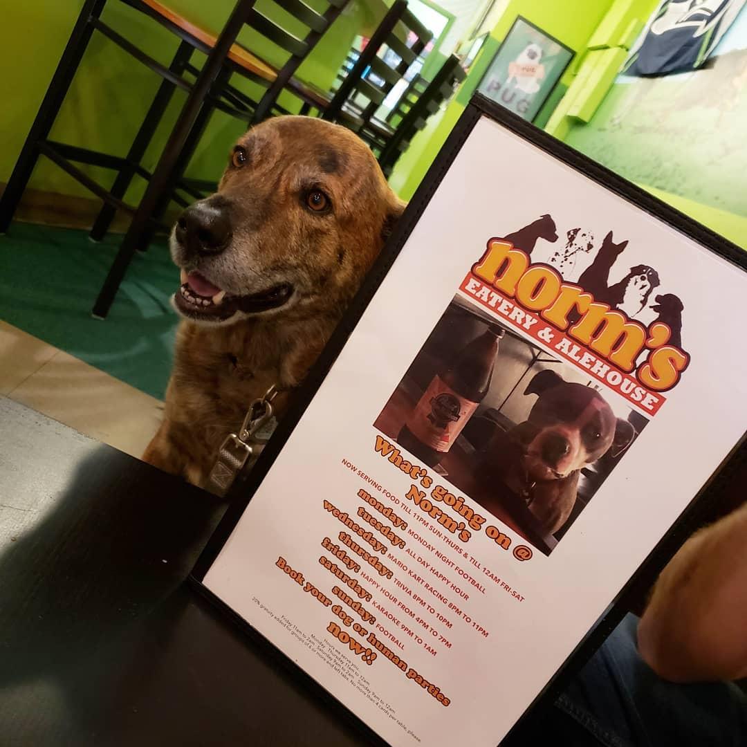 Food places that allow dogs deals near me