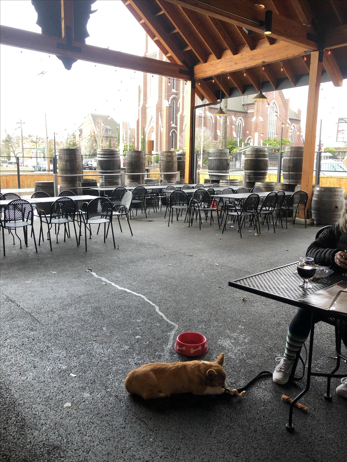 Feral Public House restaurant view 5