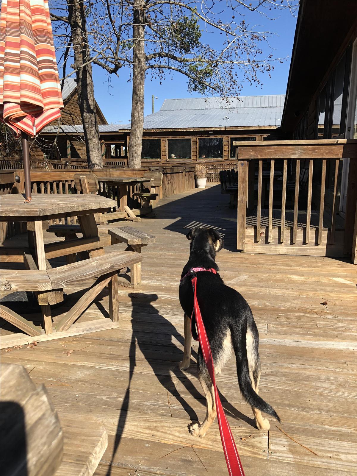 Shuler's Barbecue restaurant view 2