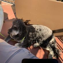 The Broken Yolk Cafe restaurant view 1