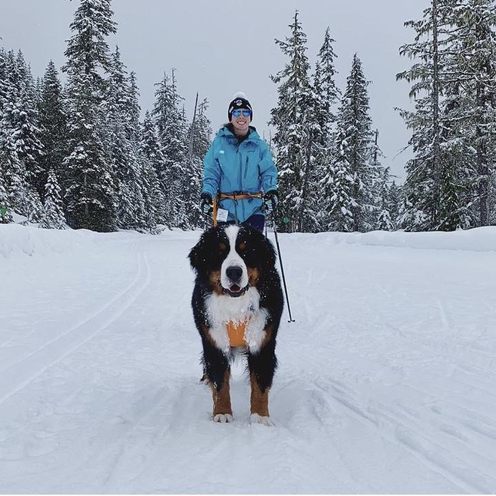 9 Scenic Places to Cross-Country Ski With Your Canine
