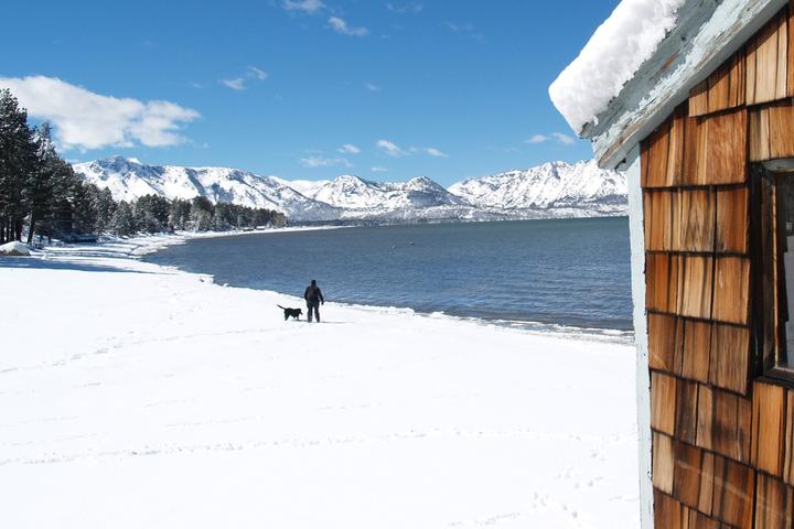A man and a dog stand beyond a cabin on the snow-covered shores of Lake Tahoe.