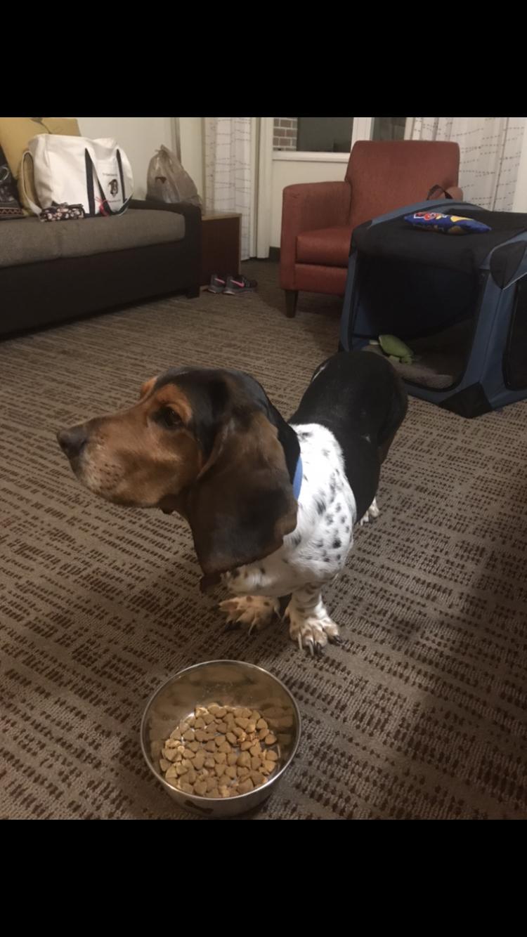 Ernie In The Room