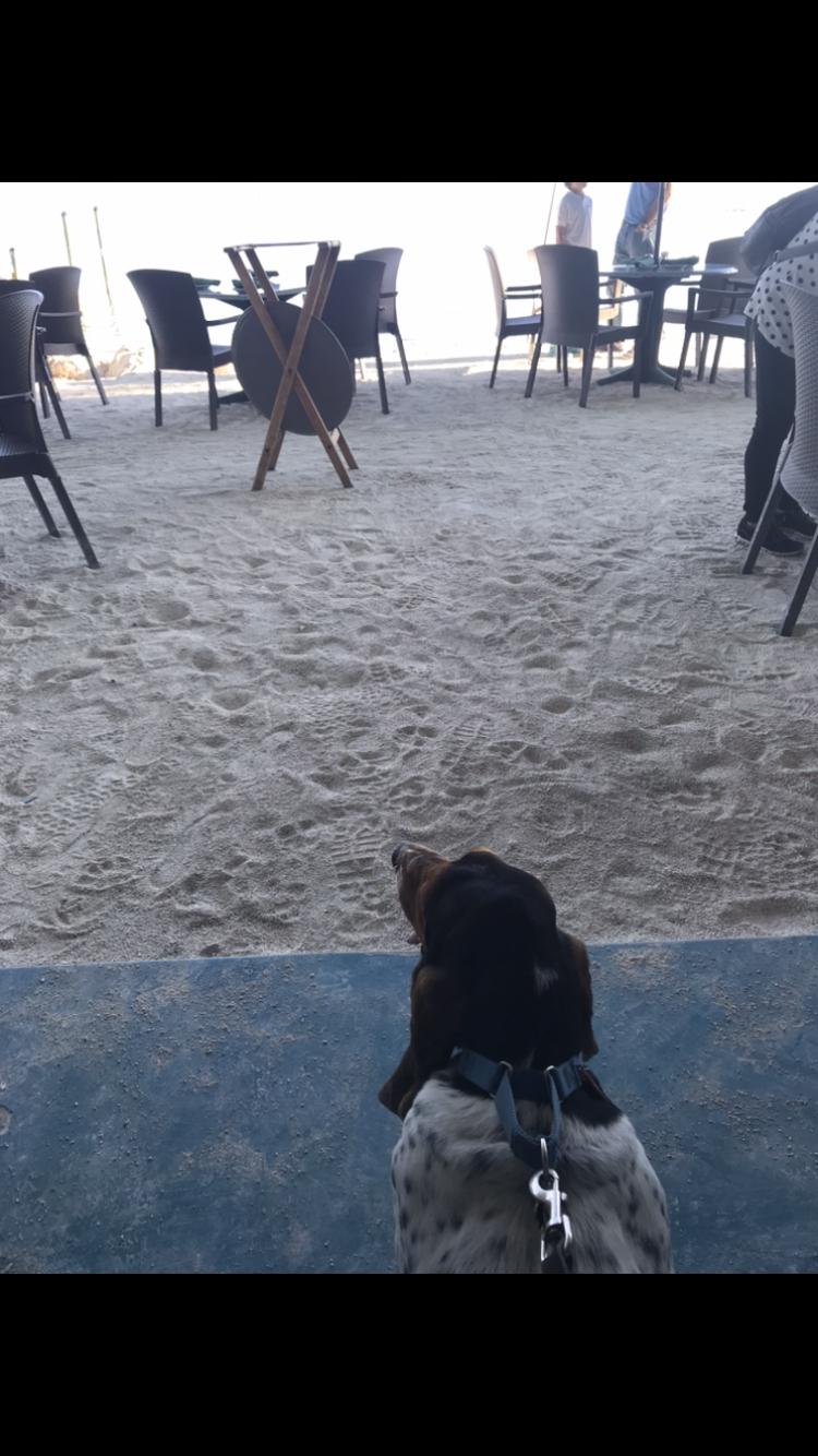 Lazy Days Restaurant restaurant view 6