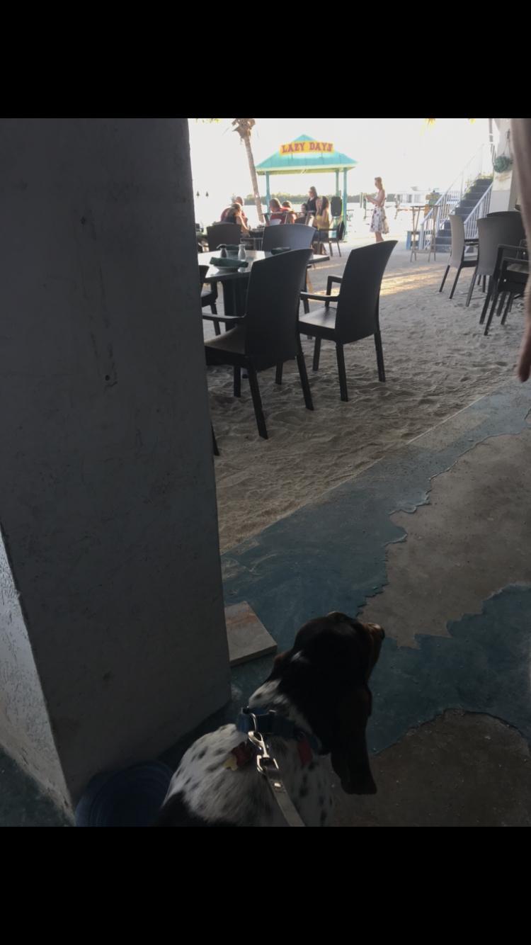 Lazy Days Restaurant restaurant view 7