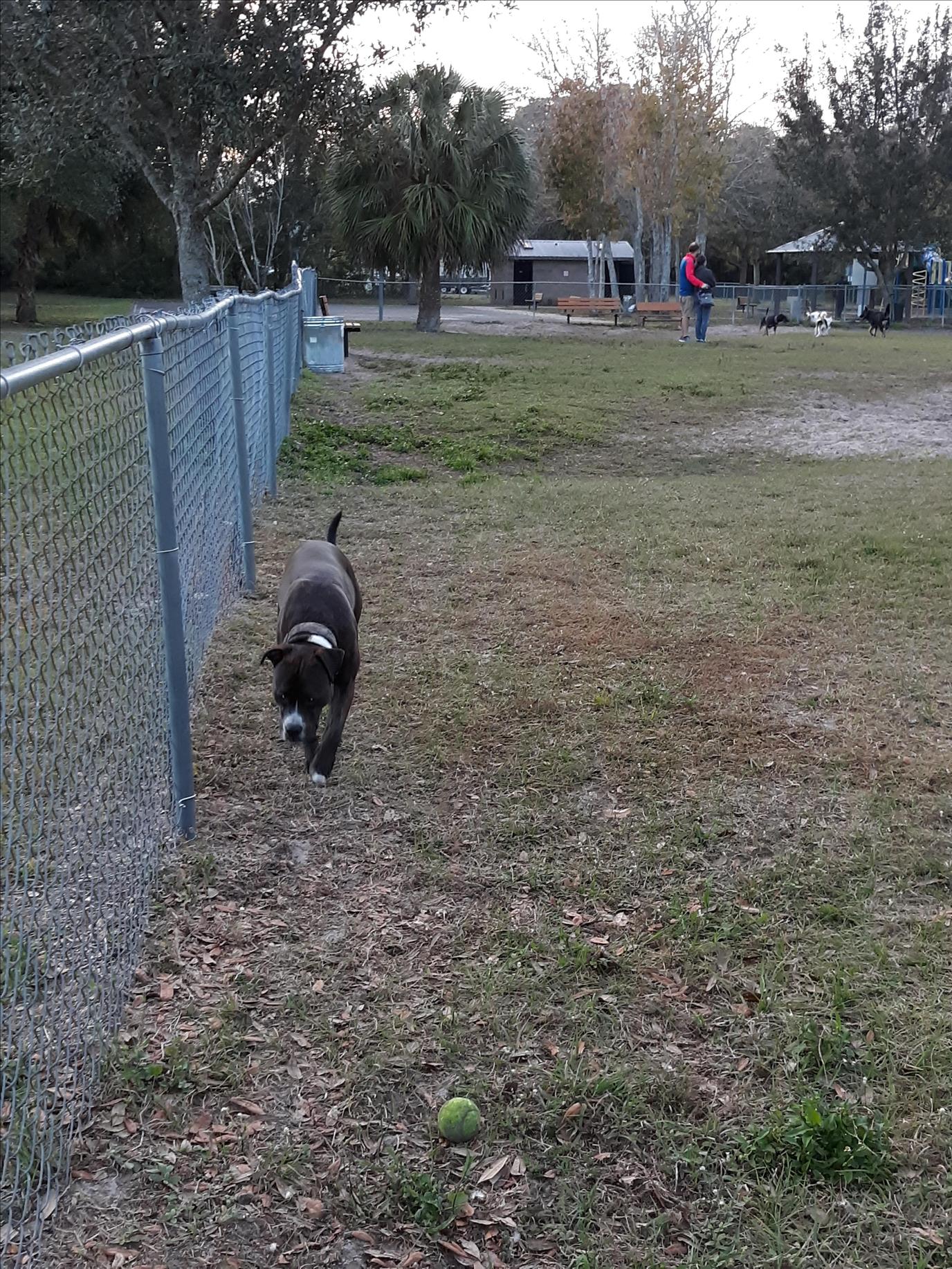 Meadows Dog Park
