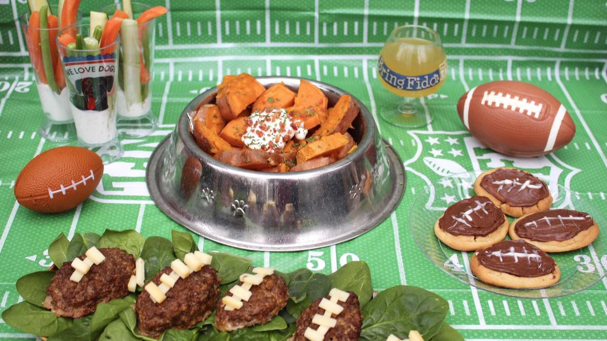 Super Bowl Game Day Snacks for Dogs