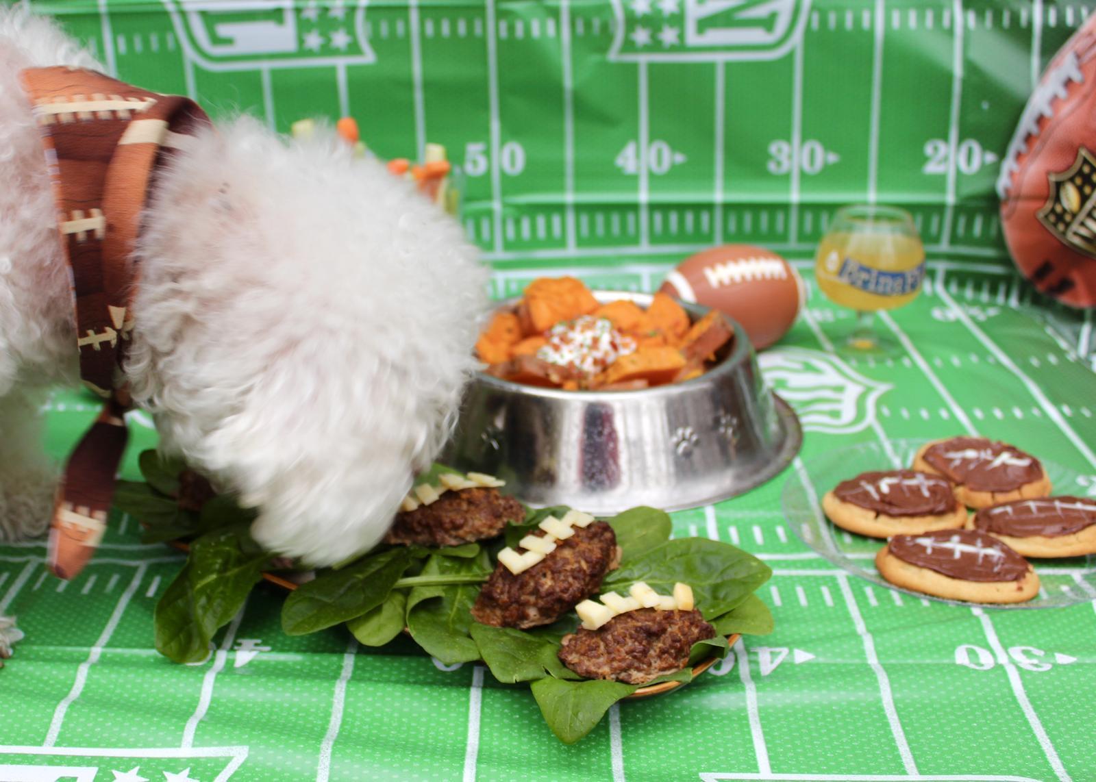 The “Supper” Bowl: Dog-Friendly Snacks for the Big Game