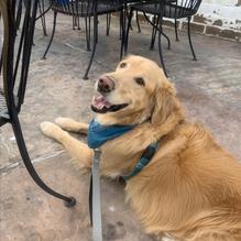 Giovanni's Pizza restaurant view 4