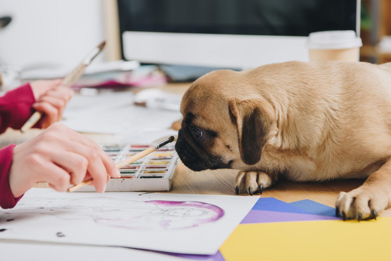 Your mutt can be your muse at these seven dog-friendly art studios.