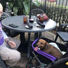 Mr. Ed's Seafood & Italian Restaurant, Kenner restaurant view 2