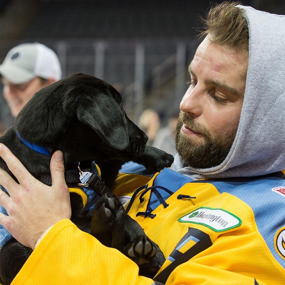 Dogs and humans can head to Scope Arena for hockey fun