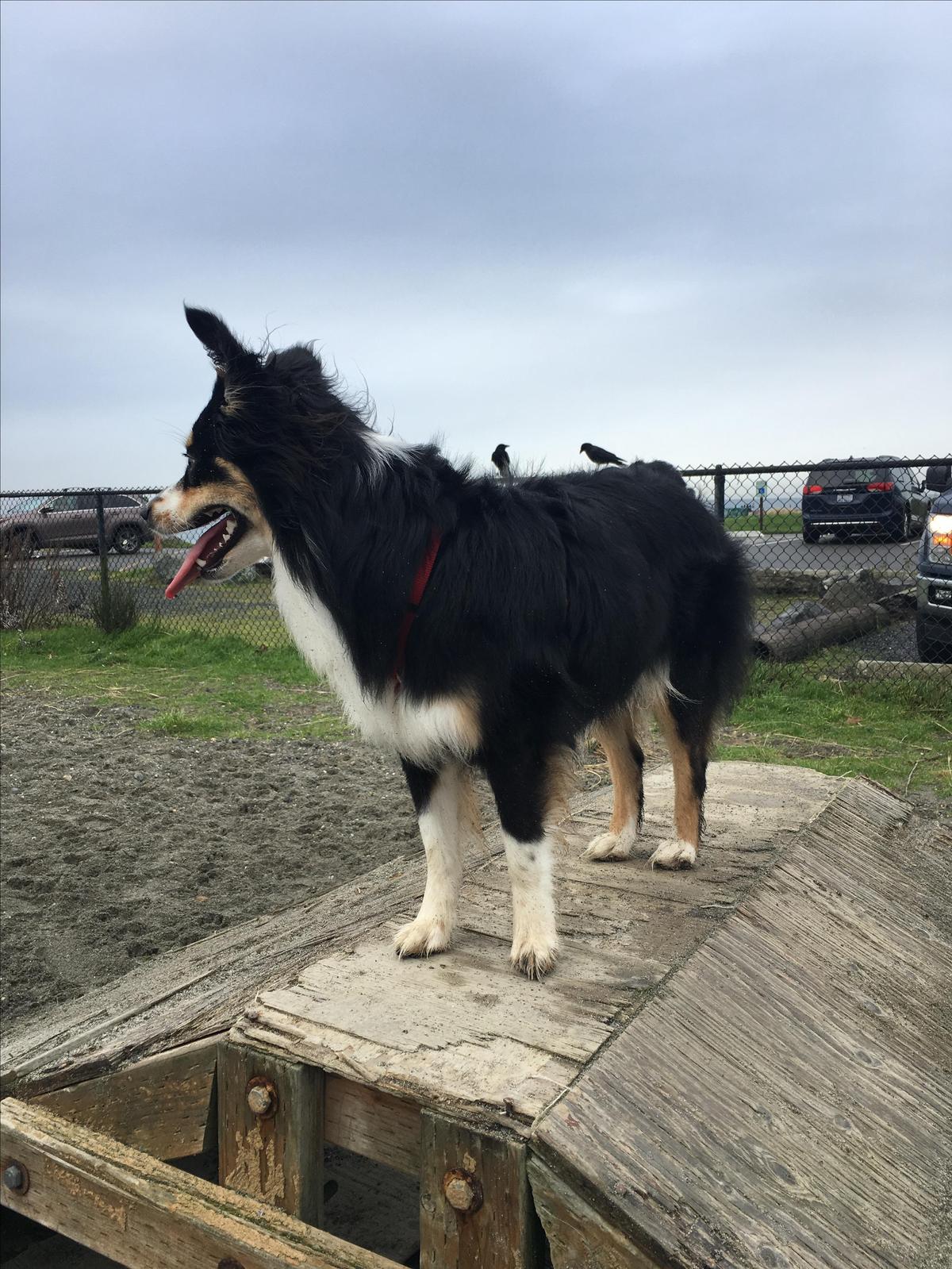 I’m Queen Of The World!!!