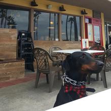 Charlie's Chili Restaurant restaurant view 1