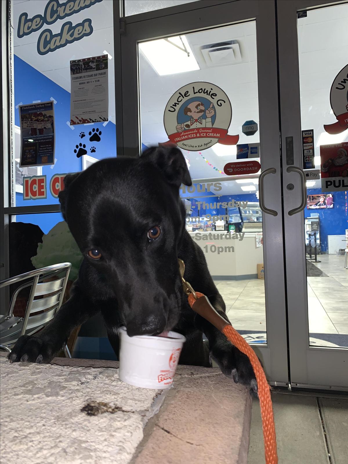 Topper's Creamery restaurant view 1