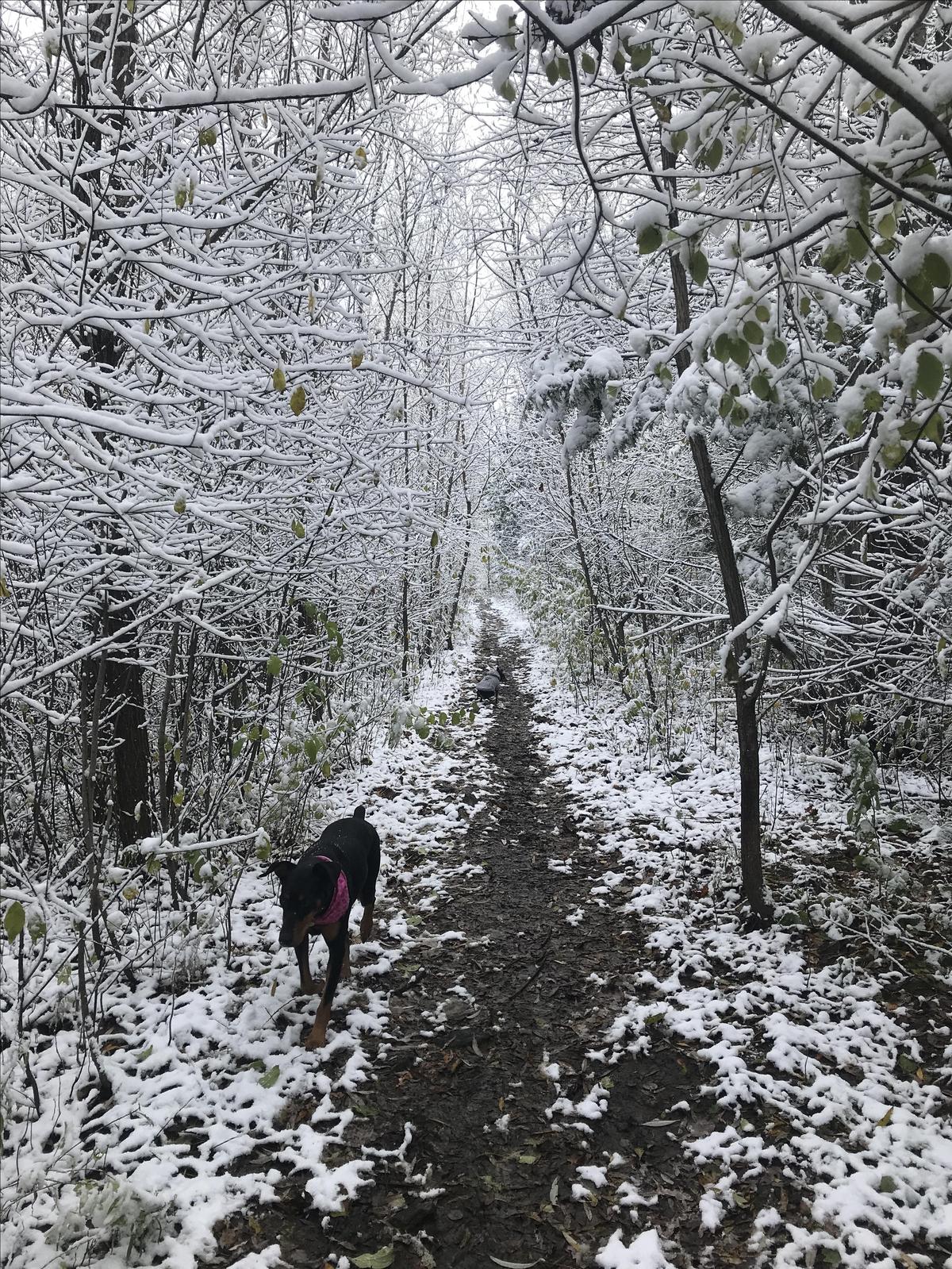 First Snow 2020