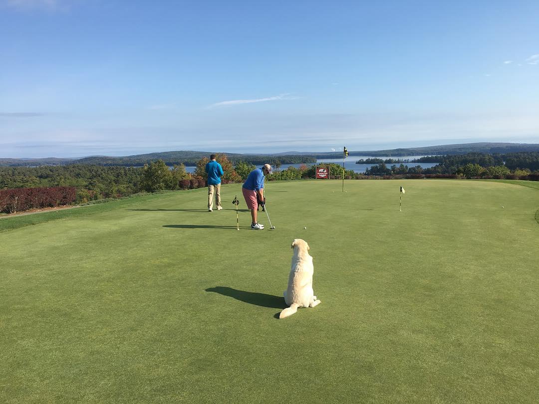 Pet Friendly Belgrade Lakes Golf Club