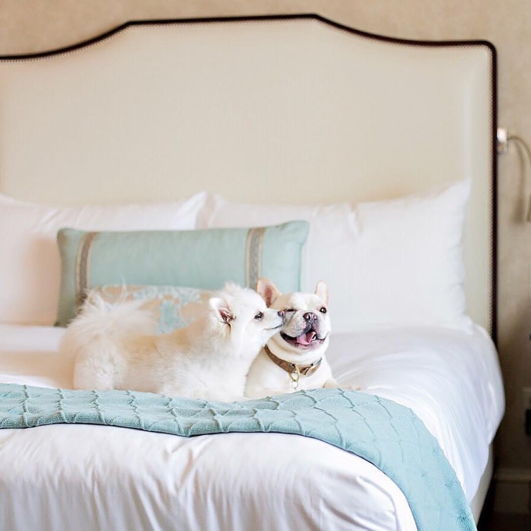 Mandarin Oriental Hotel In Washington Dc
