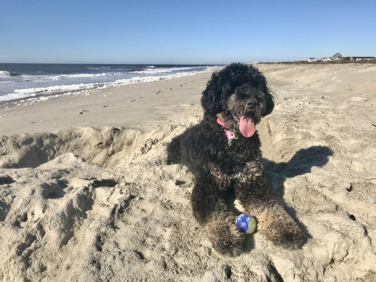Caswell beach. Off Season.