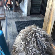 Waterloo restaurant view 1