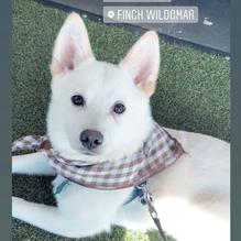 Finch restaurant view 1