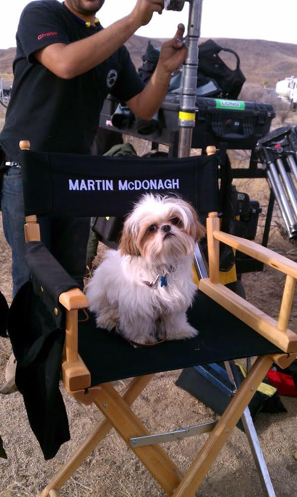 Hooray for “Howlywood:” An Interview With a Canine Movie Star