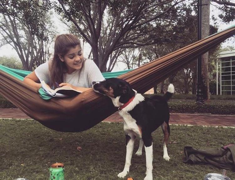 Dog Friendly Florida - BringFido