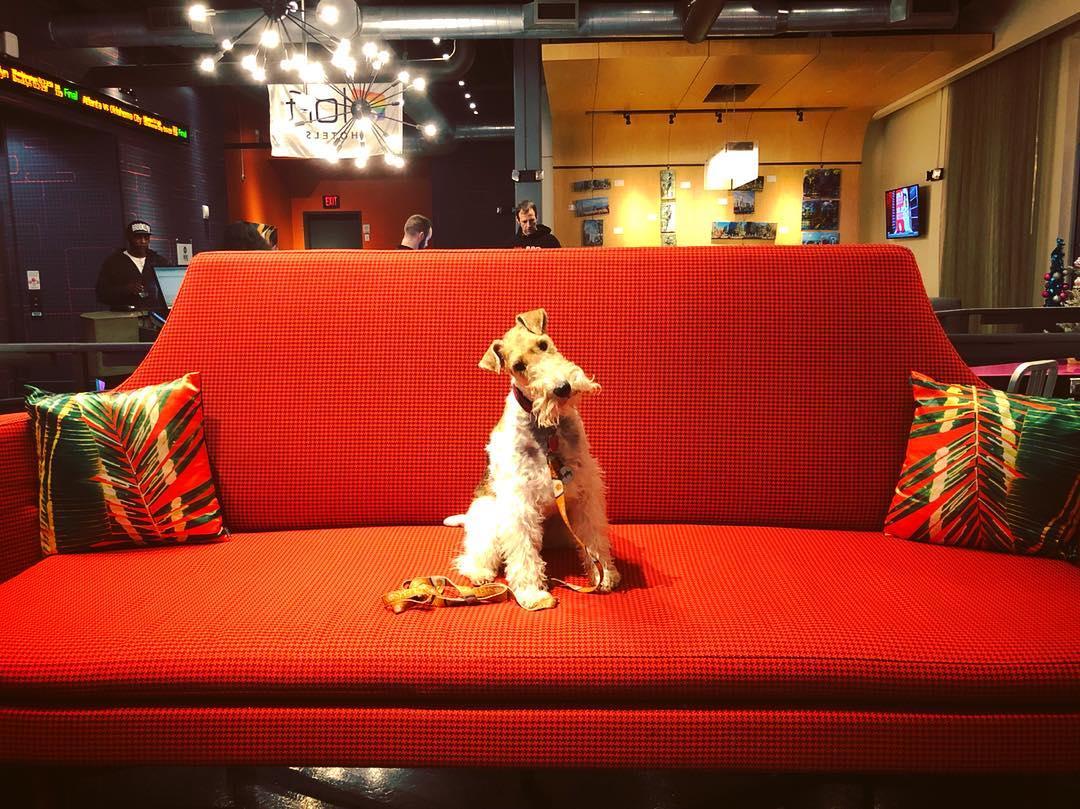 Aloft Charlotte Uptown At The Epicentre Pet Policy