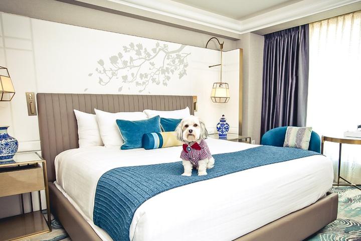 A Dog Sits on the Bed at Hotel Nikko, a Pet-Friendly Hotel in San Francisco.