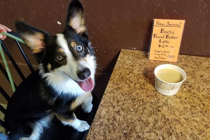 "Mmm, peanut butter latte."