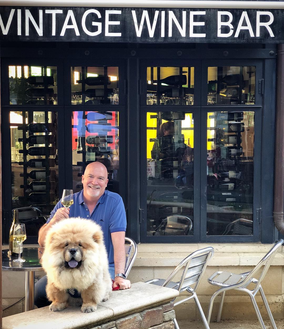 Vintage Wine Bar restaurant view 2
