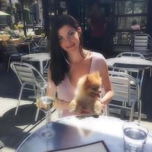 Vintage Wine Bar restaurant view 3