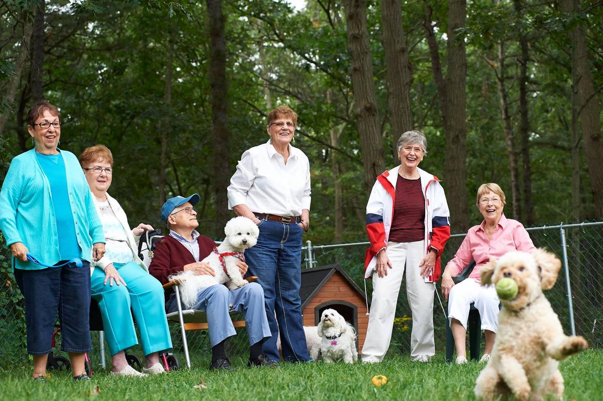 Group of Seniors at Pet-Friendly Assisted Living Facility Play With Their Dogs at the Dog Park.